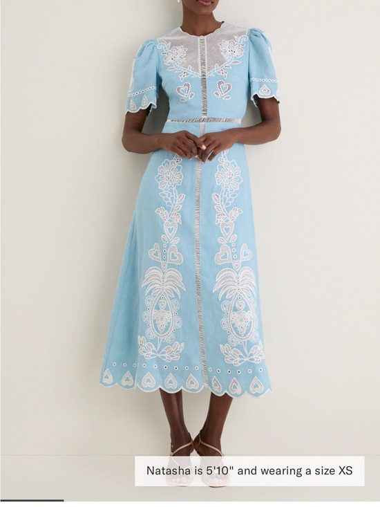 FARM Rio Dresses & Skirts - FARM Rio Light Blue Embroidery Short Sleeve Midi Dress